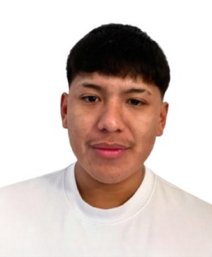 WIDINSON JOEL NARANJO ZUMBA