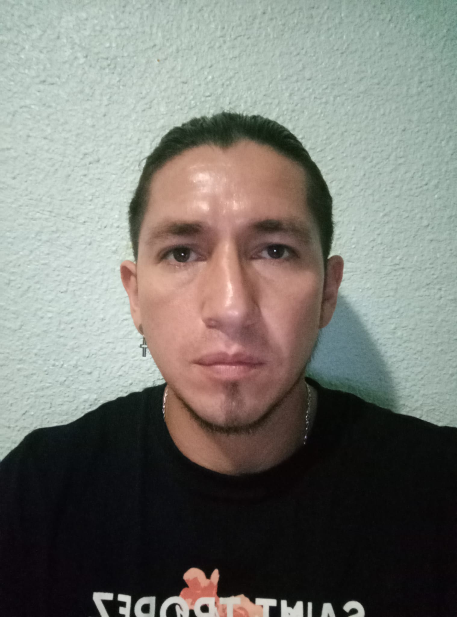 Fabian Santiago Ludizaca Villar